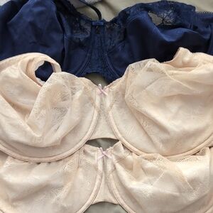 Cacique Lace Bra Set - Navy and Cream